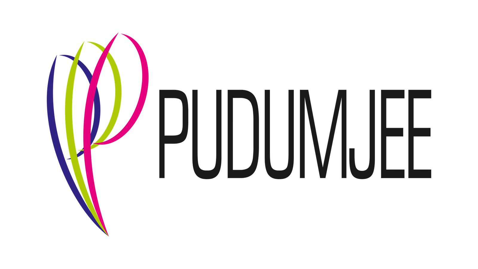 Pudumjee